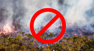 Stagione estiva 2022, prevenzione rischio incendi boschivi: divieto di accendere fuochi fino al 30 settembre. C’è l’ordinanza del commissario Scolamiero
